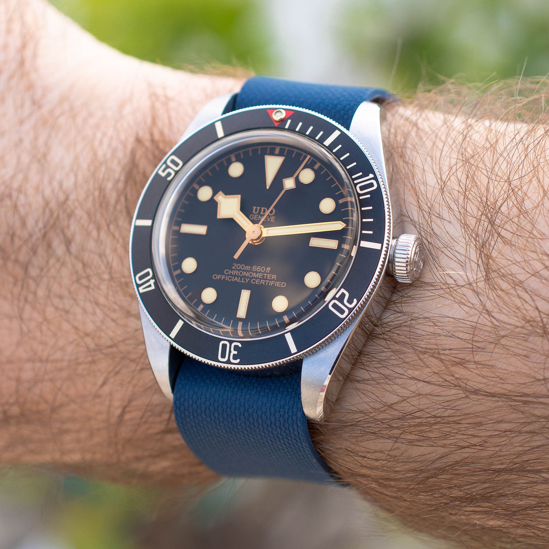 tudor 58 with nato rubber band 